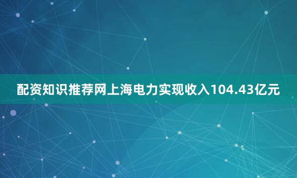 配资知识推荐网上海电力实现收入104.43亿元