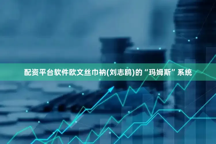 配资平台软件欧文丝巾衲(刘志鸥)的“玛姆斯”系统