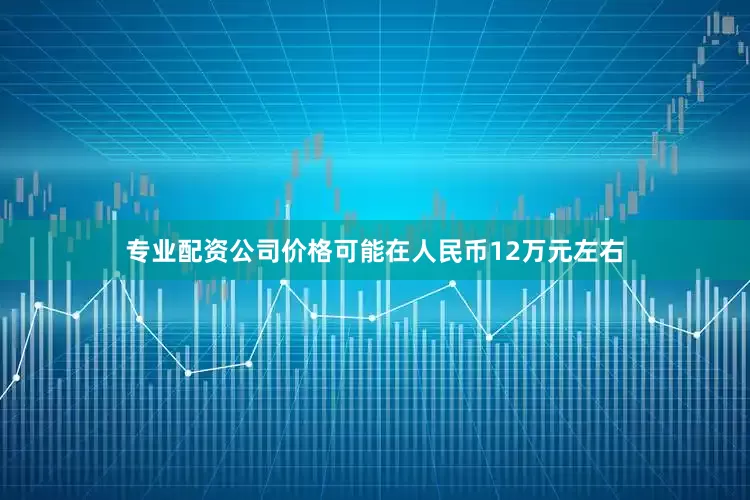 专业配资公司价格可能在人民币12万元左右