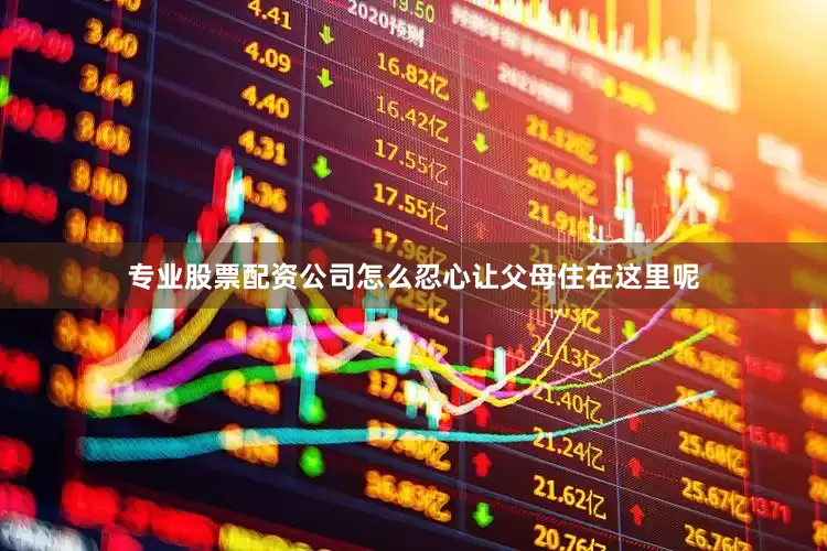 专业股票配资公司怎么忍心让父母住在这里呢