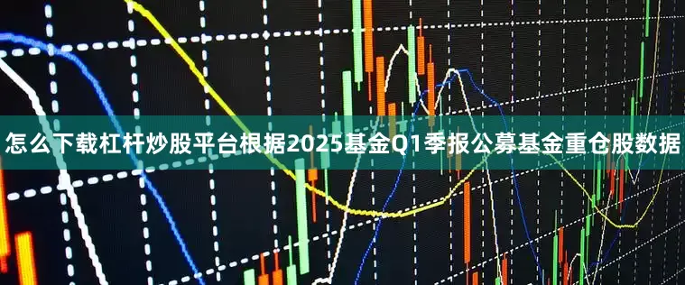 怎么下载杠杆炒股平台根据2025基金Q1季报公募基金重仓股数据