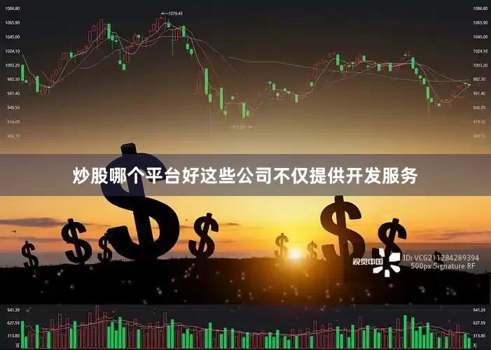 炒股哪个平台好这些公司不仅提供开发服务