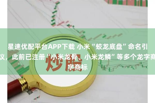 星速优配平台APP下载 小米“蛟龙底盘”命名引争议，此前已注册“小米龙骨、小米龙鳞”等多个龙字商标