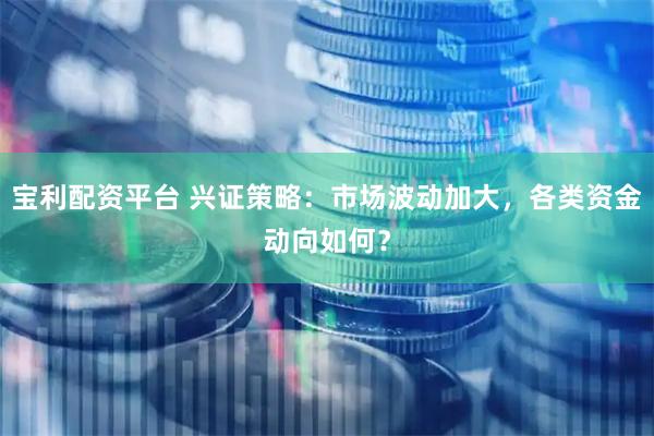 宝利配资平台 兴证策略：市场波动加大，各类资金动向如何？